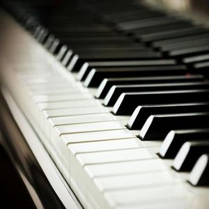 麻豆啪啪网站链接
