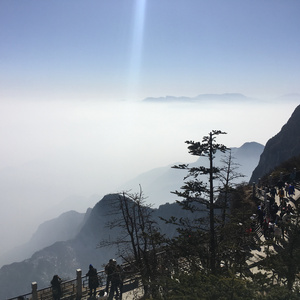 麻豆啪啪网站链接
